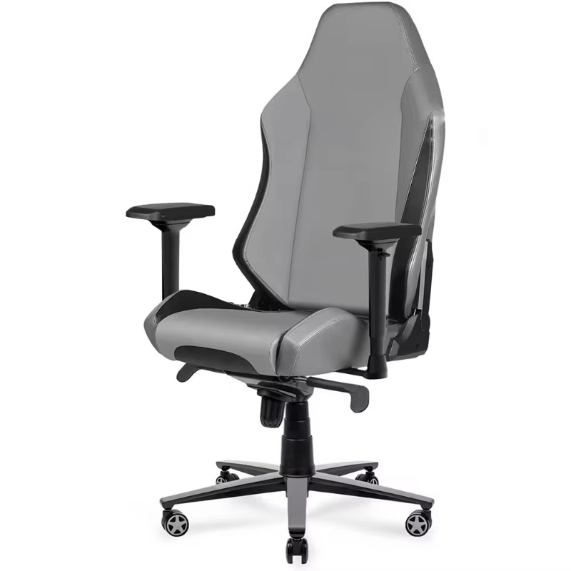 Gaming Chairs Computer Gamer C - Pc Gaming Video 评论和价格